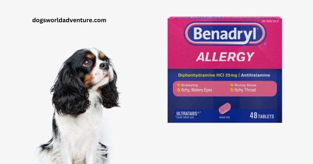 Benadryl For Dogs Uses, Side Effects, and Dosage Information