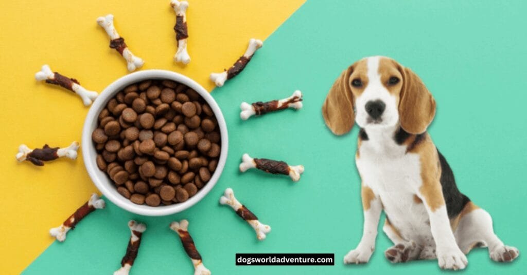 Best Dog Food Finding the healthy and balanced diet