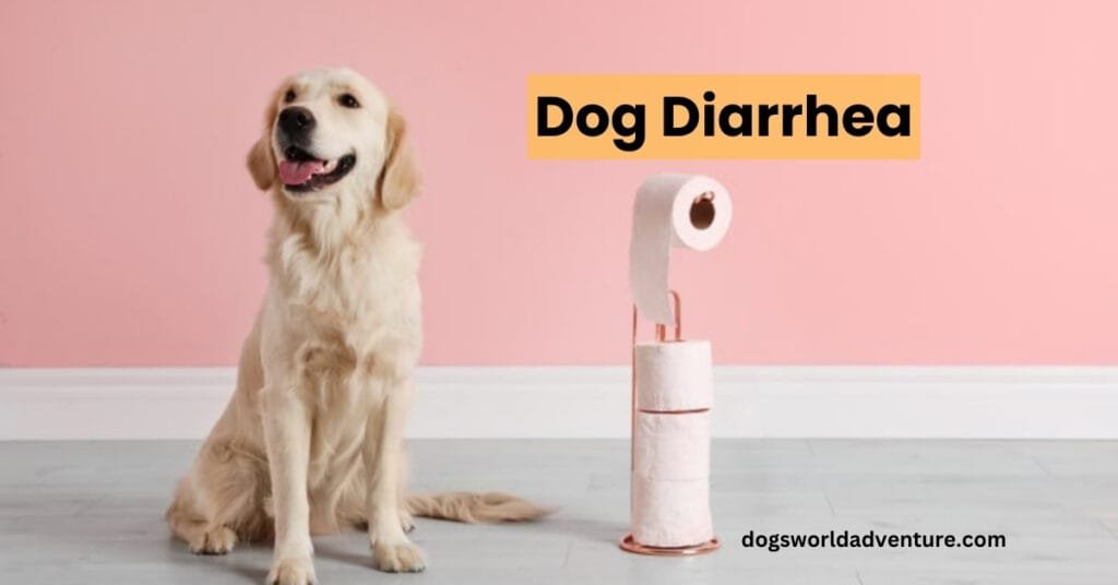 Dog Diarrhea Causes, Treatment, Prevention