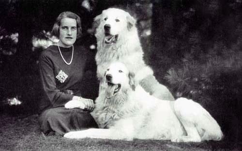 Great Pyrenees History