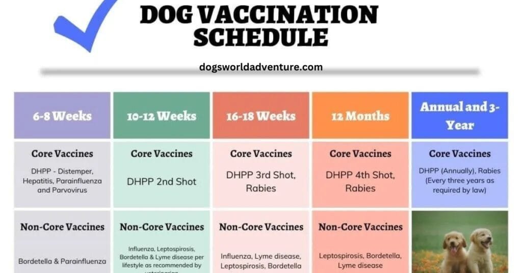 Puppy Vaccination Schedule 