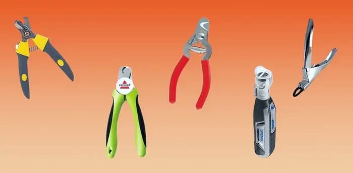 Tools You’ll Need toncut dog nails