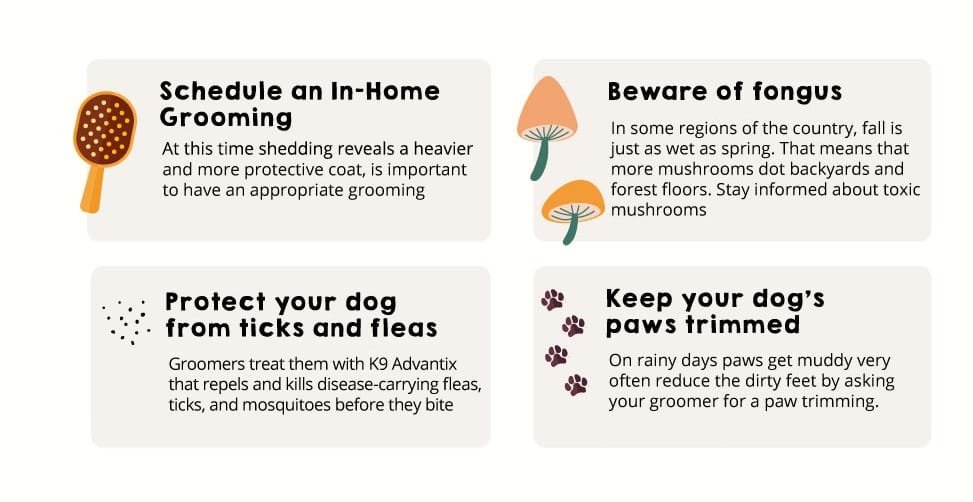 Trimming Tips for Puppies