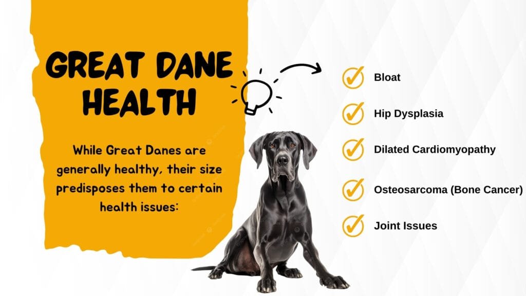 Great Dane Health