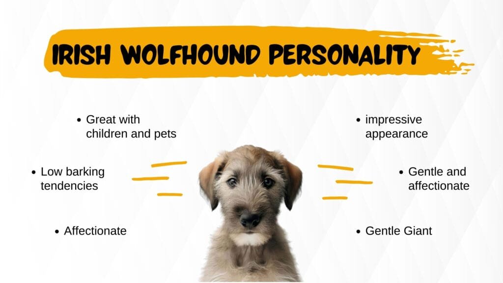 Irish Wolfhound personality