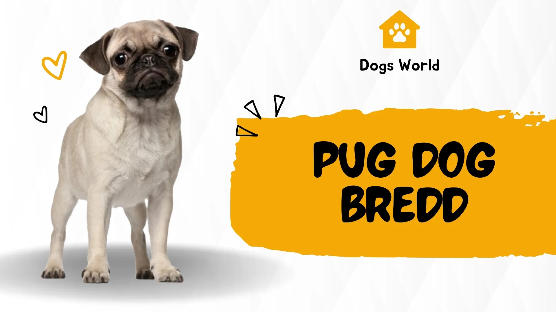 pug